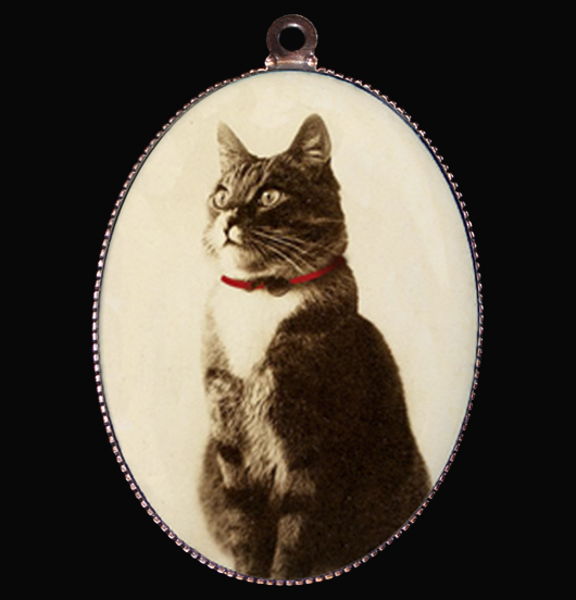 MEDAGLIONI |  | Gatto reale 